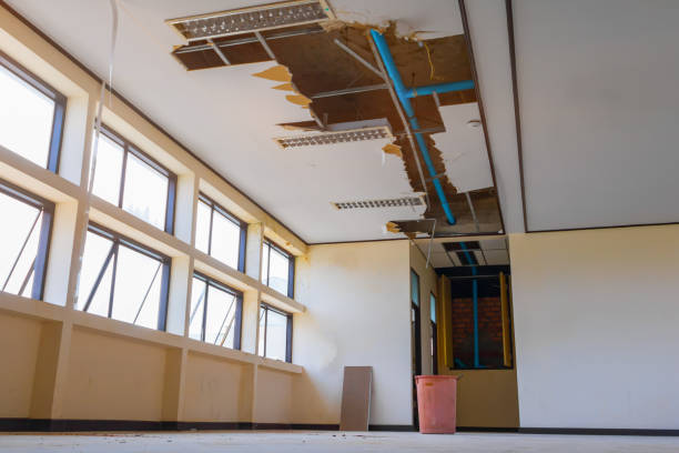 Best Flood damage cleanup  in Morrisonville, NY