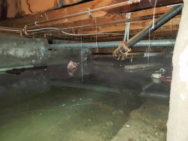 24/7 water damage repair in Morrisonville, NY