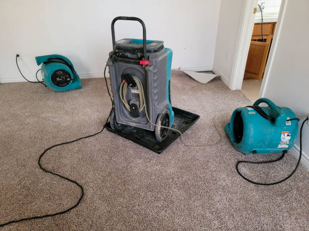 Best Water damage cleanup near me  in Morrisonville, NY