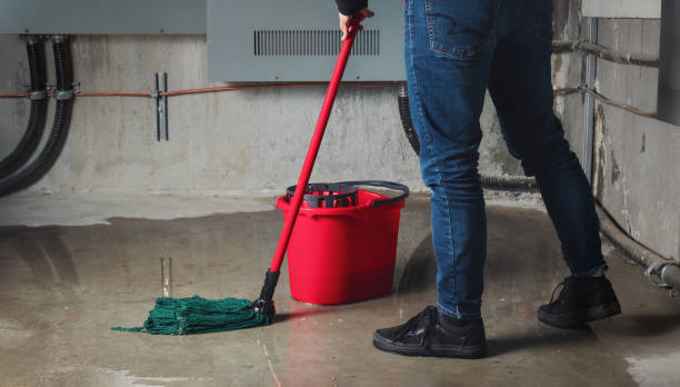 Best Water damage restoration company  in Morrisonville, NY