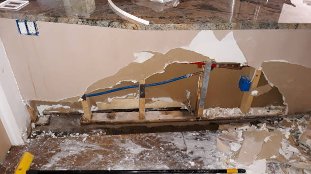 Best Basement water damage restoration  in Morrisonville, NY