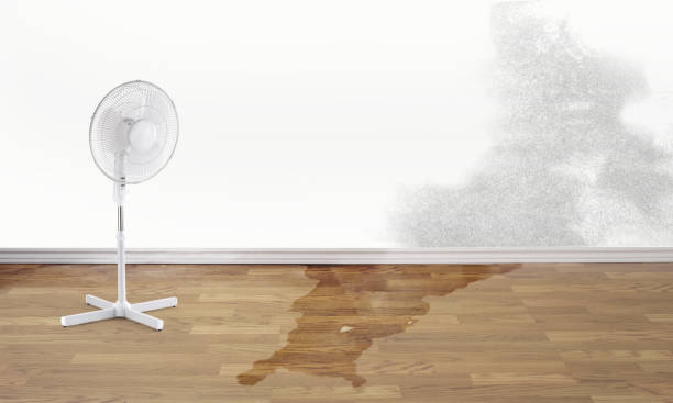 Best Residential water damage restoration  in Morrisonville, NY