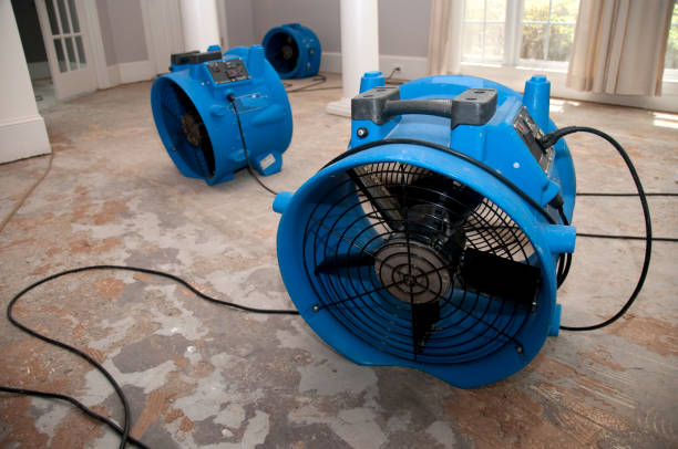 Professional Water damage restoration in Morrisonville, NY