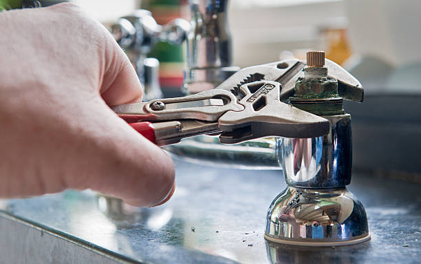 Best Mold removal after water damage  in Morrisonville, NY