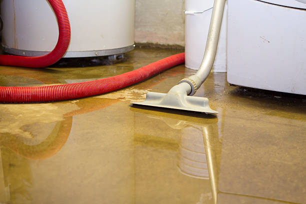 Best Water damage restoration cost  in Morrisonville, NY