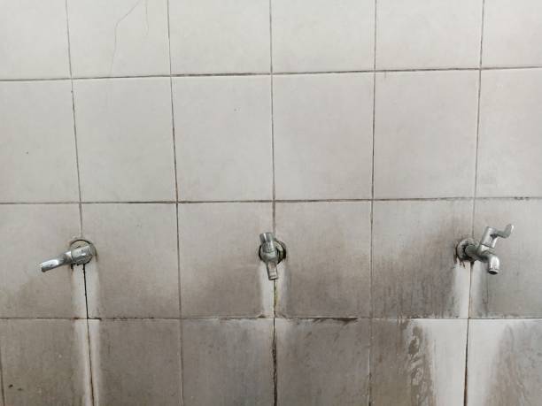 Best Professional water damage repair  in Morrisonville, NY