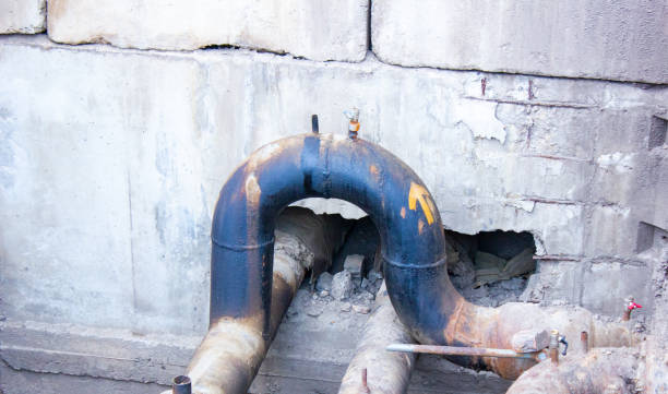 Best Basement water damage restoration  in Morrisonville, NY