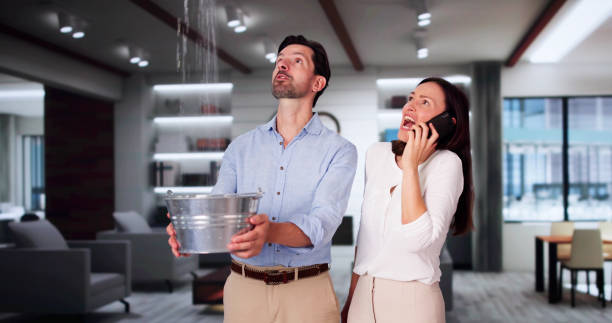 Best Water damage cleanup near me  in Morrisonville, NY