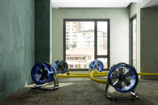 Best Emergency water damage restoration  in Morrisonville, NY