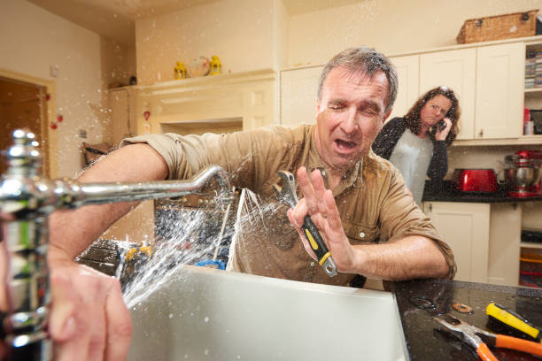 Best Flooded house restoration  in Morrisonville, NY